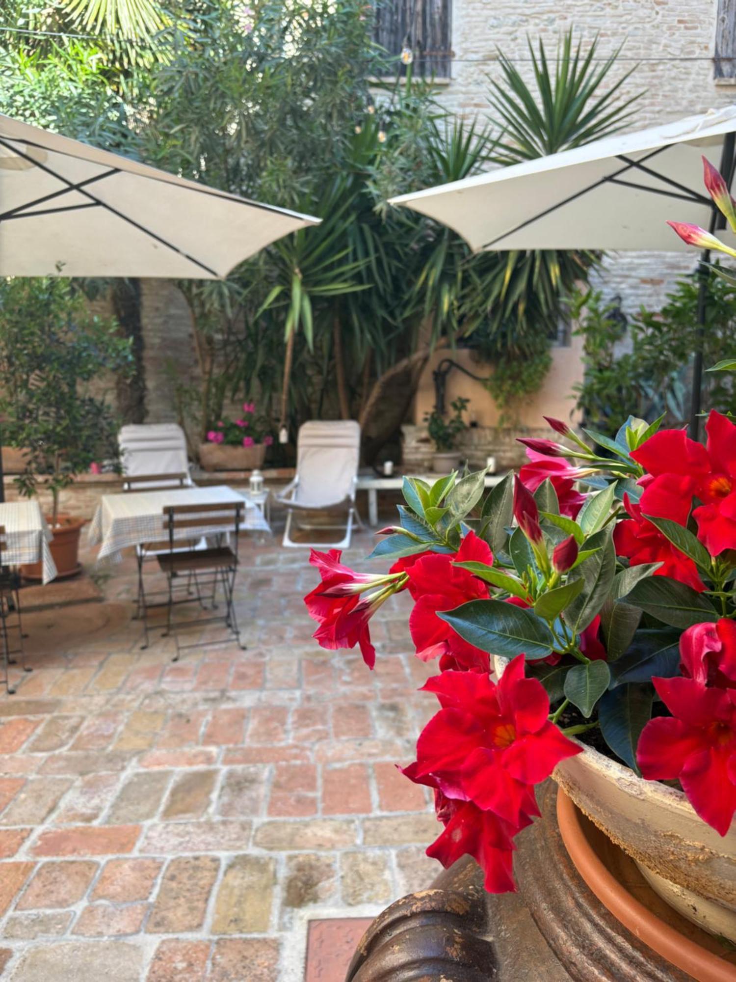 Relais B&B Corte Dei Turchi Longiano Kültér fotó